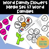 Kindergarten Decoding Word Family Flowers Set | Reading CV