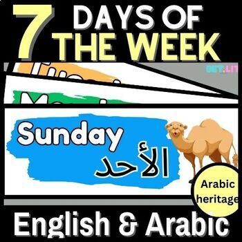 Preview of Back to school | 7 Days in the Week | English & Arabic | bilingual flashcards