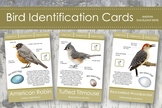 Backyard Bird Identification Cards- Montessori