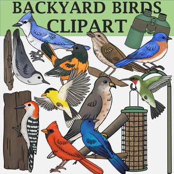Preview of Backyard Birds Clip Art