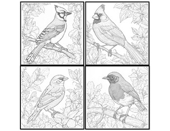 Preview of Backyard Birds Coloring Page