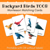 Backyard Birds Montessori Matching Cards (SafariLtd Toob)