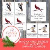 Backyard Birds of Winter Montessori Vocabulary Three Part 