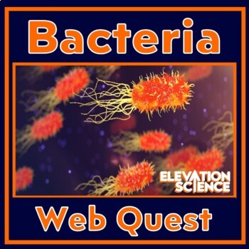 Preview of Bacteria Activity Webquest Worksheet with Google Docs Version