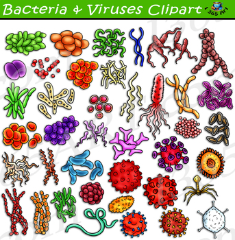 Preview of Bacteria And Viruses Clipart