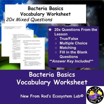 Preview of Bacteria Basics Vocabulary Worksheet w/Answer Key **Editable**