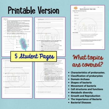 Bacteria and Prokaryotes Homework and Study Guide by Amy Brown Science