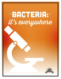 Bacteria: It's Everywhere! Lab - Agar Collection {Editable}