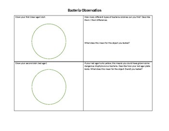 Preview of Bacteria Observation Sheet