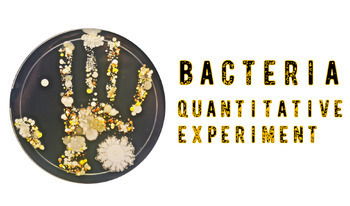 Preview of Bacteria Quantitative Experiment
