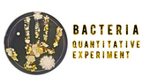 Bacteria Quantitative Experiment