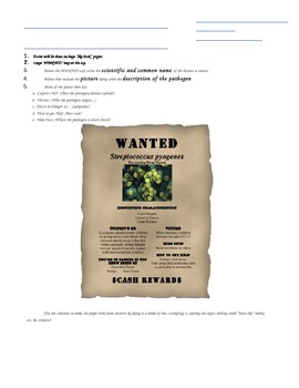 Preview of Bacteria "Wanted" Poster Activity