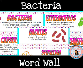 Preview of Bacteria Word Wall English Spanish ESL Biology Word Wall