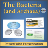 Bacteria and Archaea PowerPoint, the Prokaryotes, Virus an