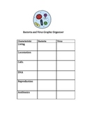 Bacteria and Virus Comparison Graphic Organizer with Teach