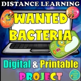 Bacteria and Viruses Digital Project | Cell Unit Biology L