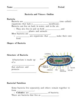 Preview of Bacteria and Viruses Notes Outline Lesson Plan