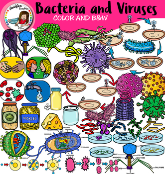Preview of Bacteria and Viruses clip art. 100 items!!