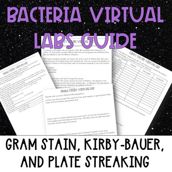 Preview of Bacteria virtual lab: Gram Stain, Kirby Bauer science sub plan