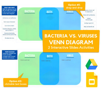 Preview of Bacteria vs. Viruses Venn Diagram - drag-and-drop, labeling activity in Slides