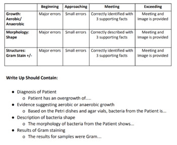 Preview of Bacterial Morphology, Gram Stain & Inoculation Exercise with RUBRIC