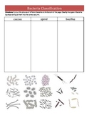 Bacterial Shape Classification