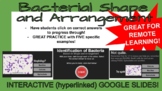 Bacterial Shape and Arrangement Interactive Practice