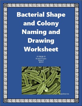 Preview of Bacterial Shape and Colony Naming and Drawing Worksheet