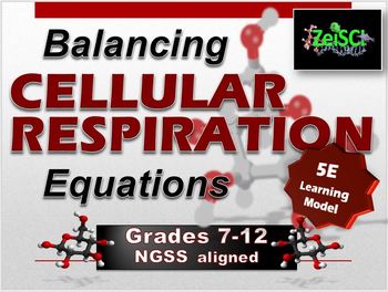 Preview of Balancing Cellular Respiration Equations
