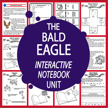 Preview of Bald Eagle Activities National Symbols & Landmarks (American Symbols) Lesson