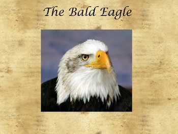 Preview of American Symbols- The Bald Eagle Google Slides