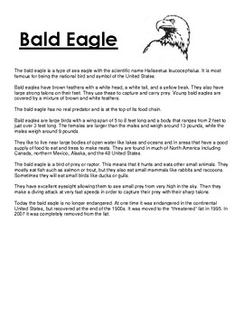 Bald Eagle Worksheet