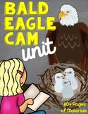 Bald Eagle Cam Unit