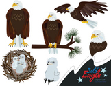 Bald Eagle Clip Art Set