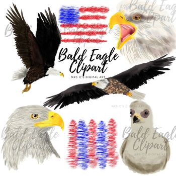 Preview of Bald Eagle Clipart, american Bird, Eagle Clipart, Patriotic, 4th of JulyClipart