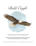 Bald Eagle Educational Bird Set | Charlotte Mason Homescho