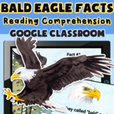 Bald Eagle Facts Reading Comprehension - Google Classroom 