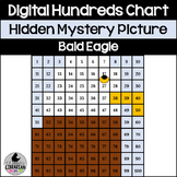 Digital Bald Eagle Hundreds Chart Hidden Picture for Ameri