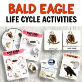 Bald Eagle Life Cycle Activities