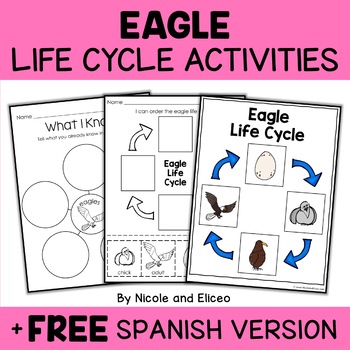 Bald Eagle Life Cycle Activities By Nicole And Eliceo Tpt