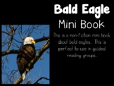 Bald Eagle Mini Book