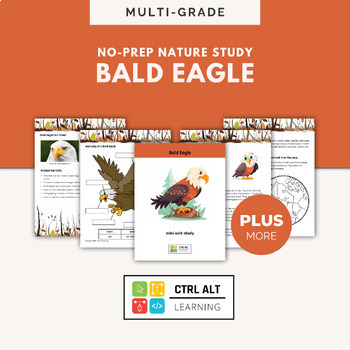 Preview of Bald Eagle Multi-Grade Unit Study