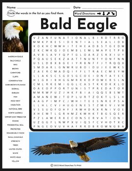 Bald Eagle Word Search Puzzle - Animal Research - All About Bald Eagles