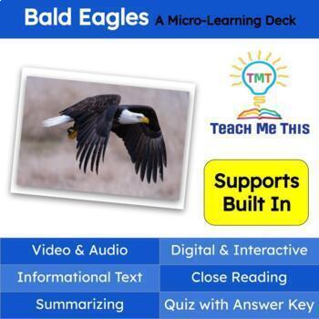 Preview of Bald Eagles Informational Text Reading Passage and Activities