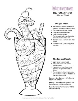 Preview of Ball Python Banana Morph - Fun Facts and Coloring, Snake Genetics