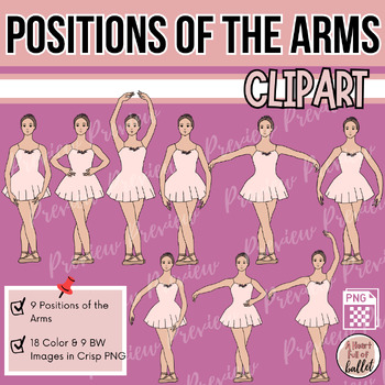 Preview of Ballet Clipart | Positions of the Arms | For Ballet Class