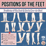Ballet Clipart | Positions of the Feet | Sur le Cou-de-Pie