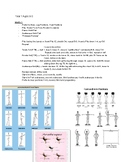Ballet Curriculum Monthly - Ages 6-18