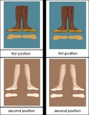 Ballet Positions and Parts of a Pointe Shoe Montessori Thr