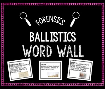 Preview of Ballistics Word Wall